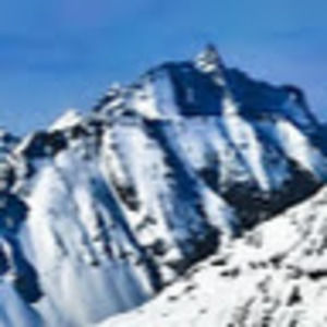 Meet your Posher, Peter